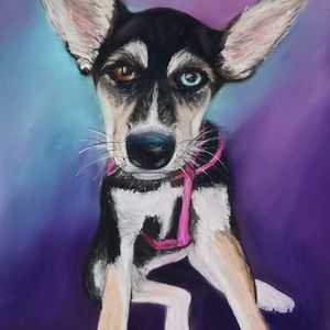 Meet your Posher, Paula